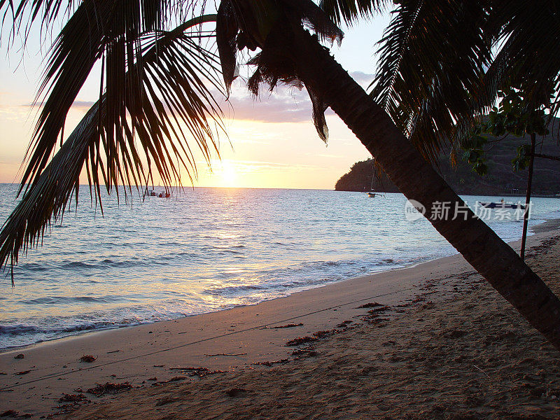 马达加斯加海滩上棕榈树的日落(Nosi Be)